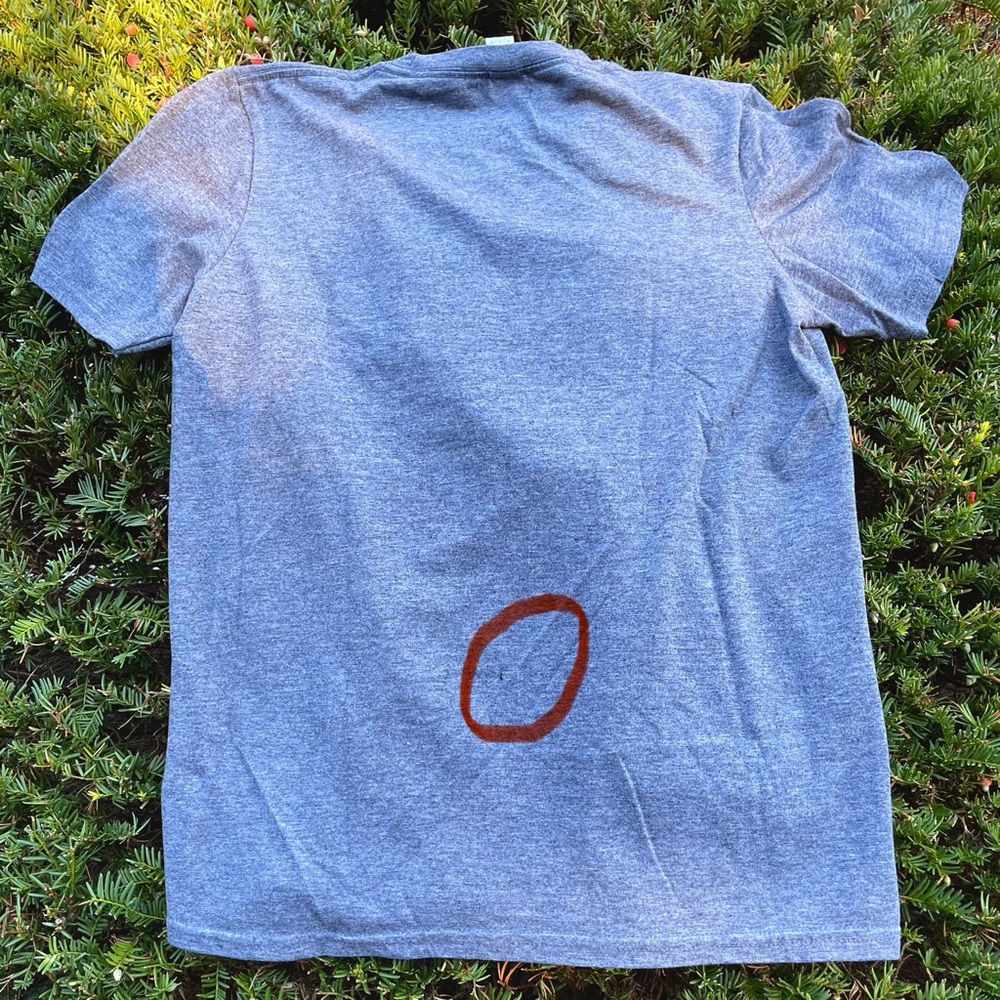 Gildan Softstyle Heather Gray T-Shirt with Cute Elephant Graphic - Picture 2 of 8